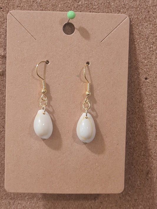 Conch Shell Earrings ~ Stainless Fish Hook Posts