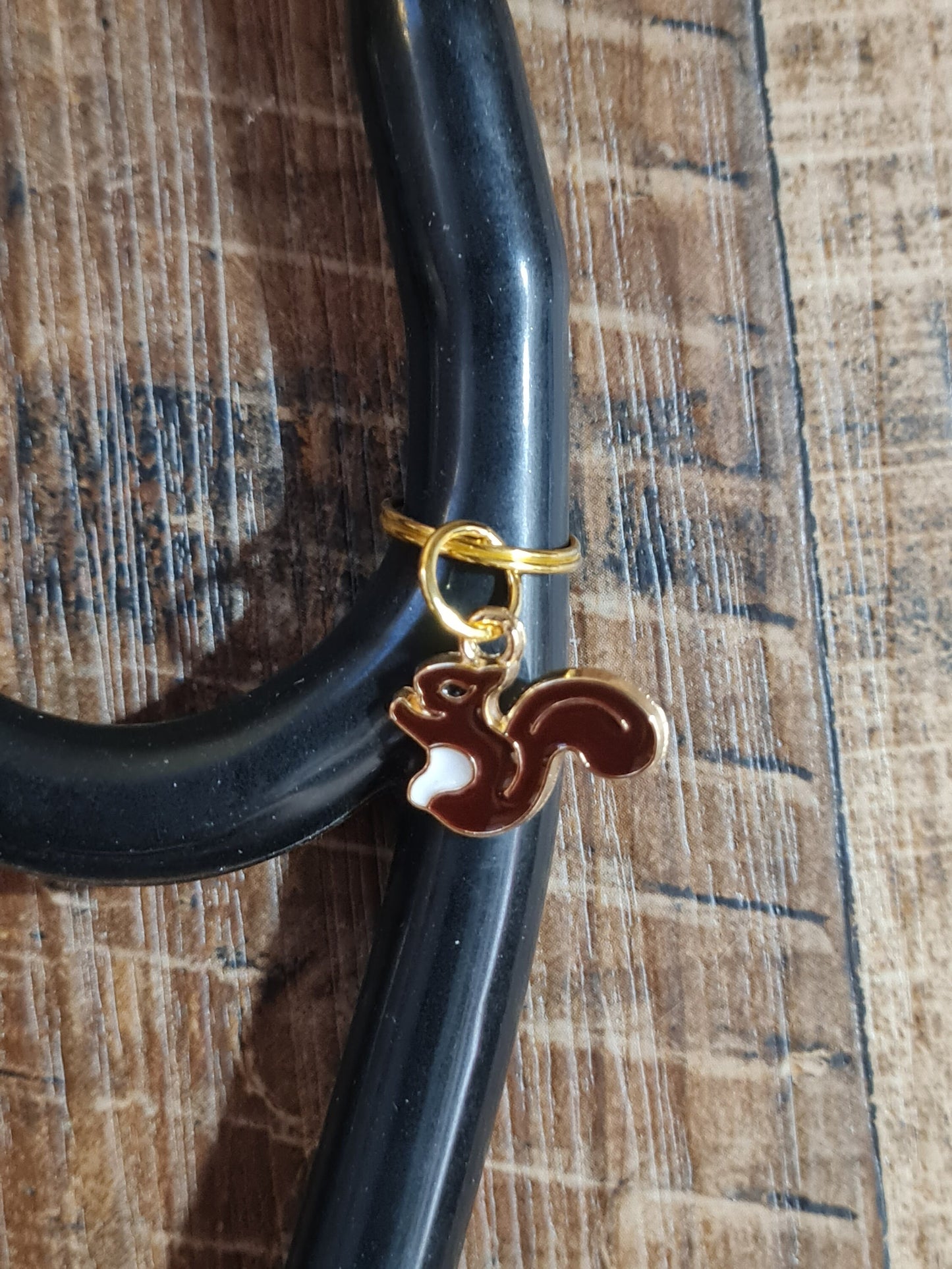 Squirrel ~ Stethoscope Charm ~ RN Charm ~ Medical Stethoscope Charm ~ Physician Charm ~ Stethoscope Tag ~ OT ~ PT ~ Grey Squirrel